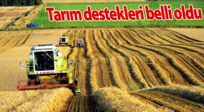 Çeltik, Buğday, Soya ve Dane Mısır Fark Ödemesi Destekleri