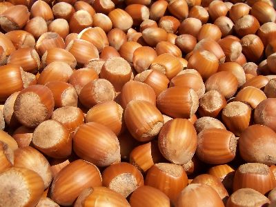 2014 Yılı Rekolte Tahminleri Açıklanmıştır!!!