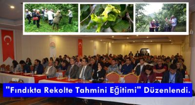 Fındıkta Rekolte Tahmini Eğitimi Düzenlendi.